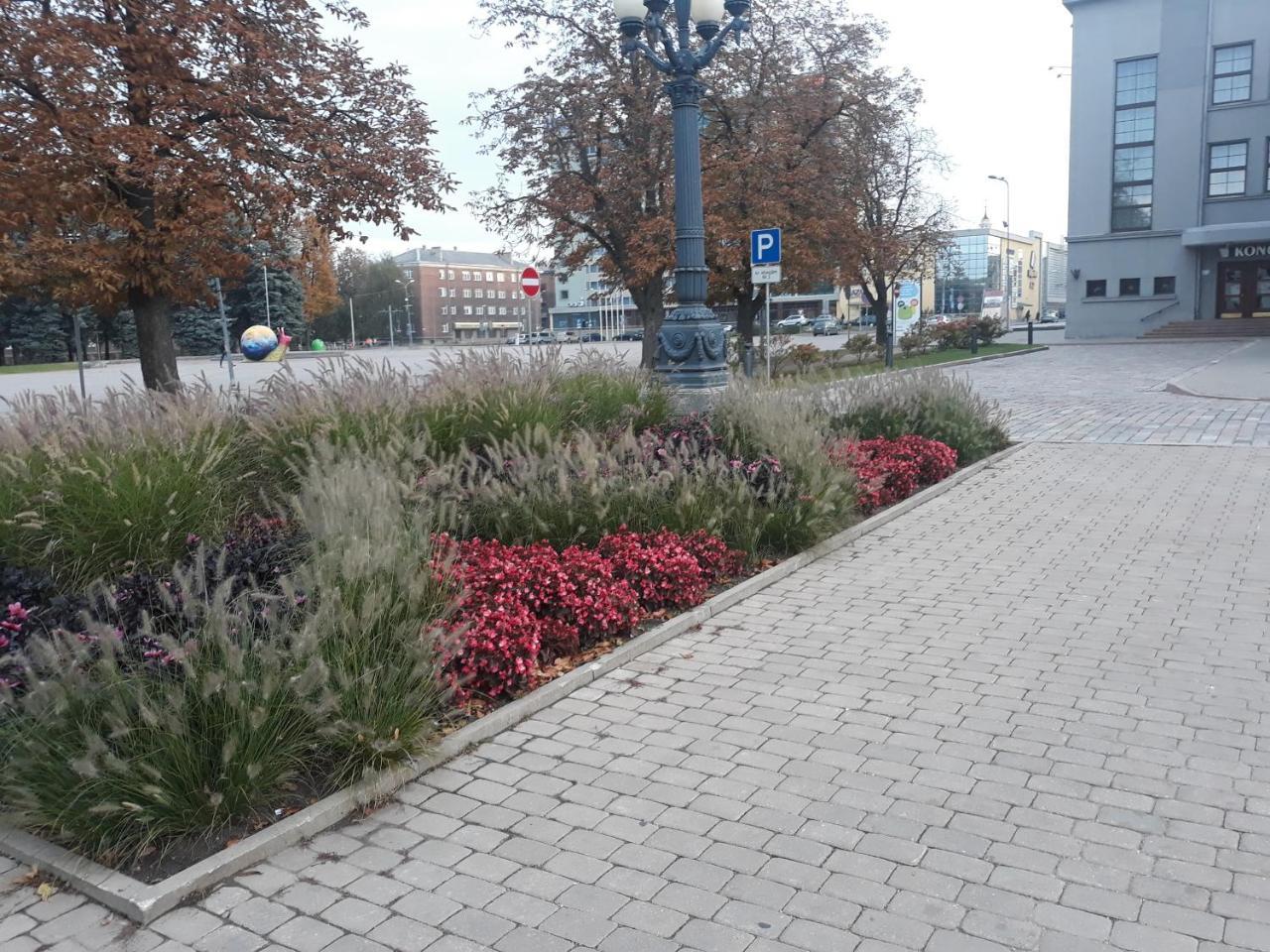 Town Center Studio Apartment Daugavpils Dış mekan fotoğraf